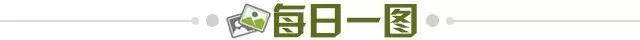 fde82ef5-9f48-4ad2-a814-3fa508fb9b26.jpg@!img01